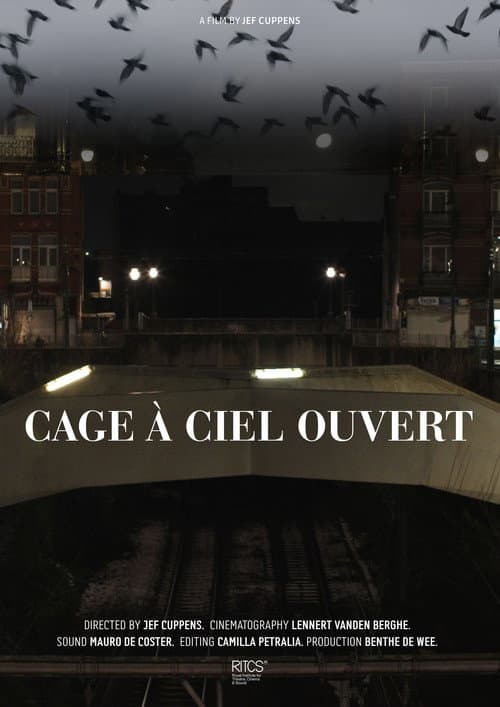 Cage À Ciel Ouvert