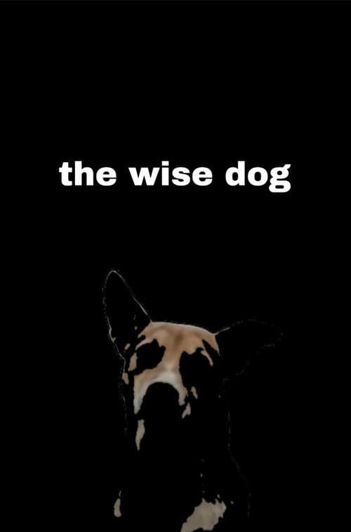 the wise dog