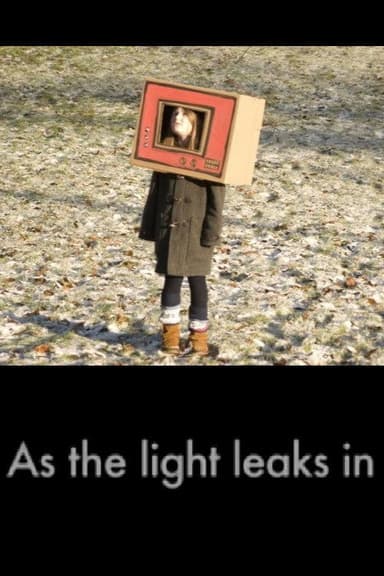 As the Light Leaks In