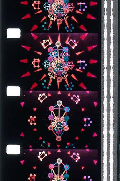 No. 10: Mirror Animations