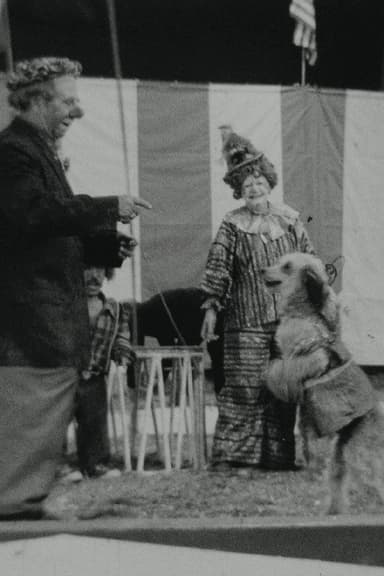 Circus