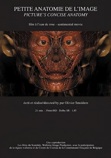 Petite anatomie de l'image