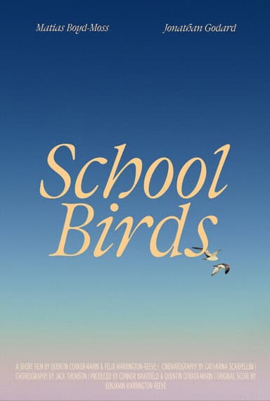 School Birds