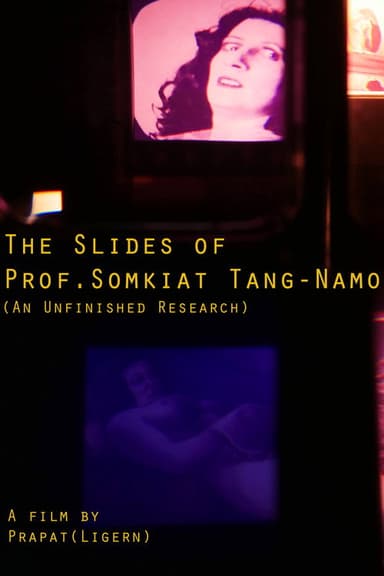 The Slides of Prof. Somkiat Tang-Namo