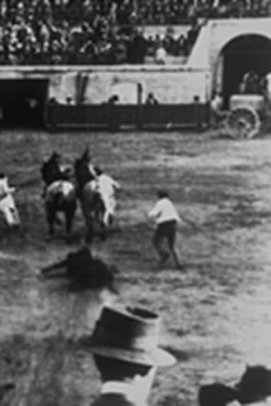 Enlèvement du taureau