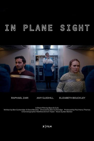 In Plane Sight
