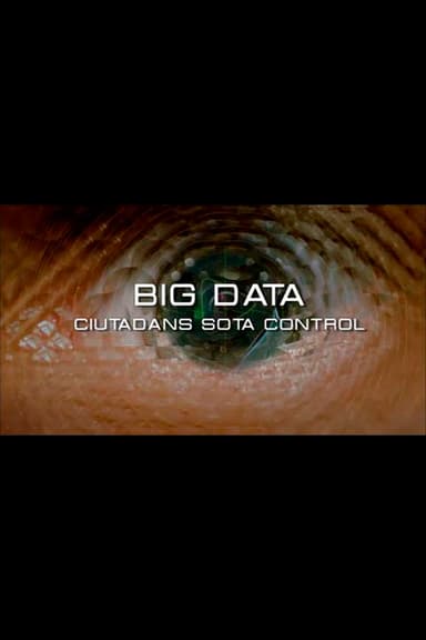 Big Data. Ciudadanos bajo control