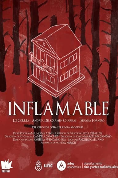 Inflamable