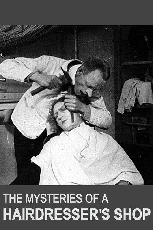 The Mysteries of a Hairdresser's Shop