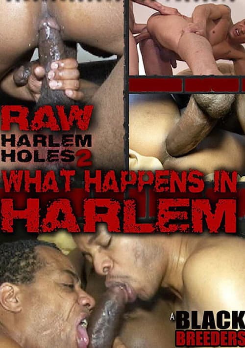 Raw Harlem Holes 2: What Happens in Harlem
