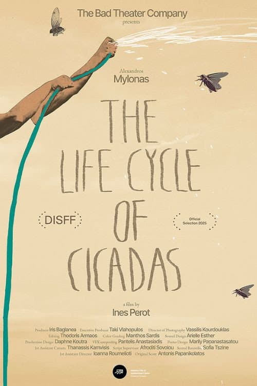 The Life Cycle of Cicadas