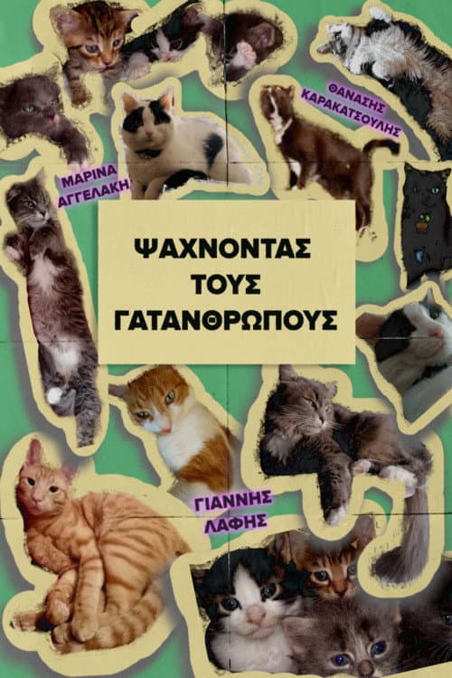 Looking for the Cat-people