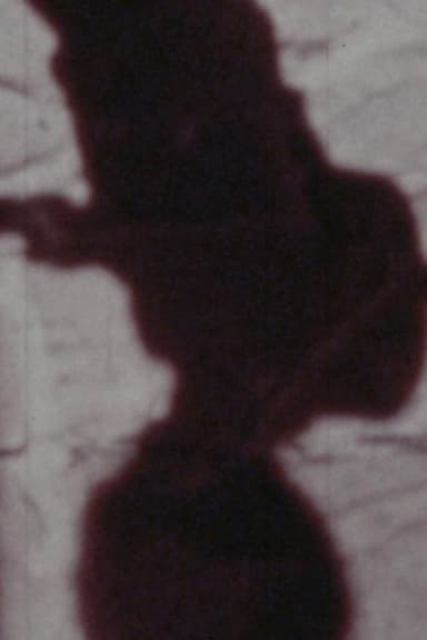 Señales de vida