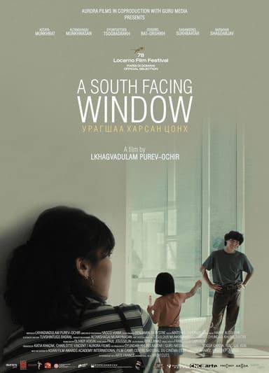 A South Facing Window