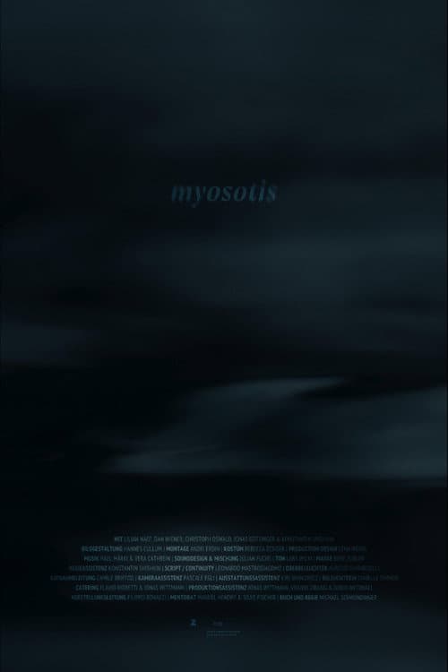 Myosotis