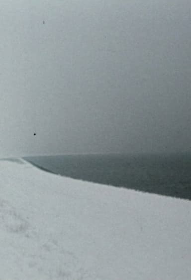 Zufalls-Horizonte