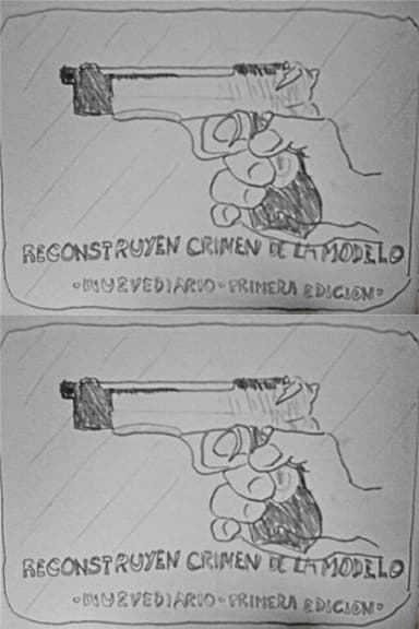 Reconstruyen crimen de la modelo