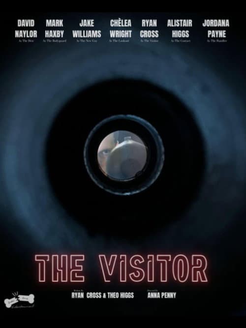 The Visitor