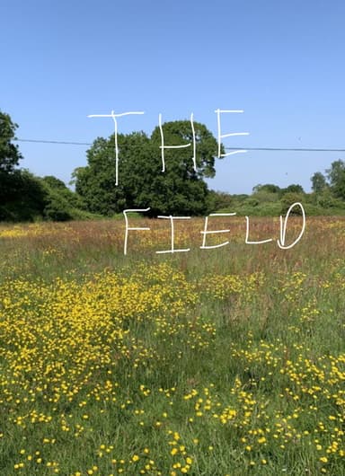 The Field