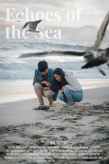 Echoes of the Sea