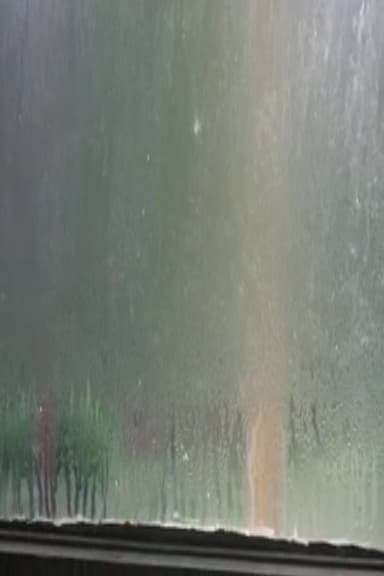 Fogged Windows