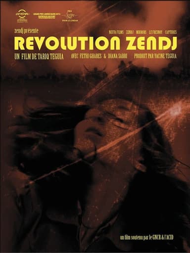 Zanj Revolution