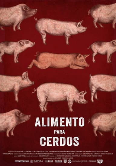 Swine Food