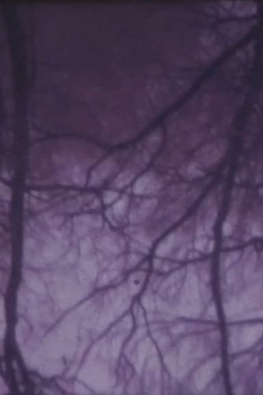 The Burning Tree