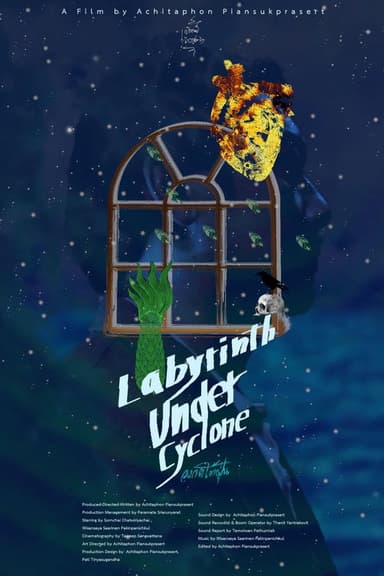 Labyrinth Under Cyclone