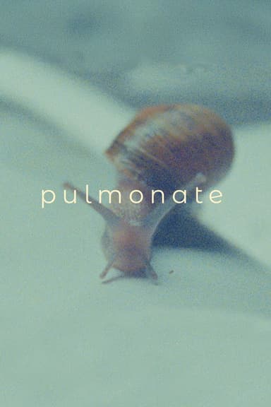 Pulmonate