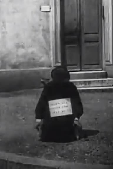 The Fraudulent Beggar