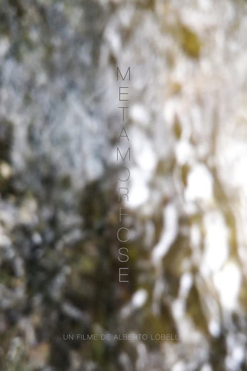 Metamorphosis