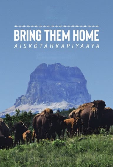 Bring Them Home