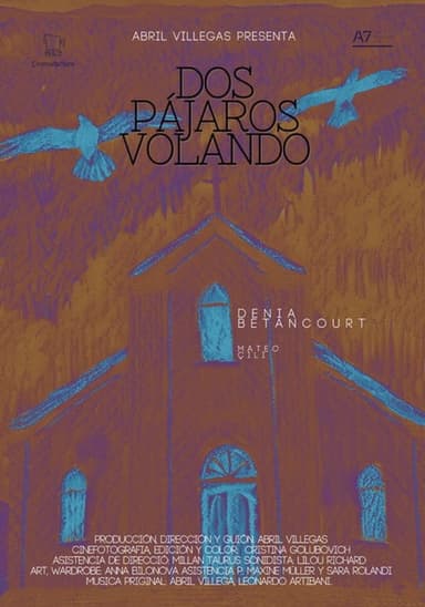 Dos pájaros volando
