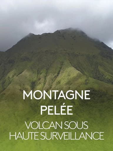 Montagne Pelée, volcan sous haute surveillance