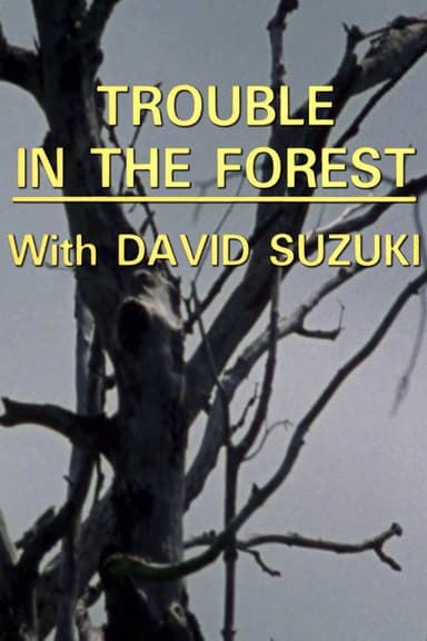 Trouble in the Forest
