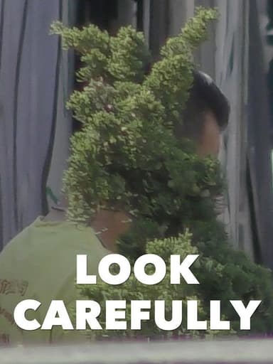Look Carefully