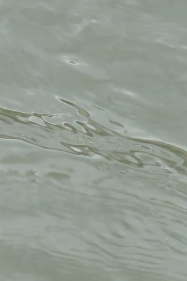 entre les vagues (un hommage)