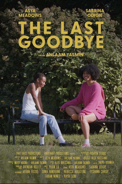 The Last Goodbye