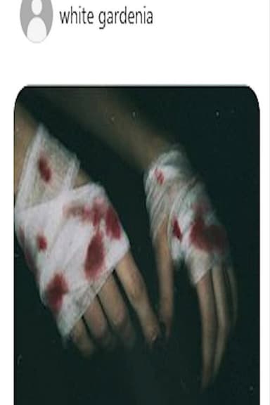 »Knight In Service To Her Majestys Bloodied Knees«