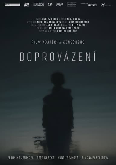 Doprovázení