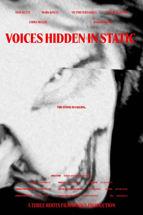 Voices Hidden in Static