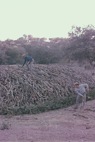 Encinares