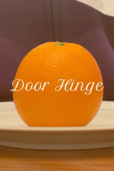 Door Hinge