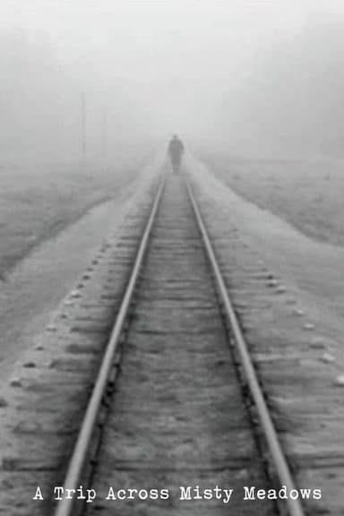 A Trip Across Misty Meadows