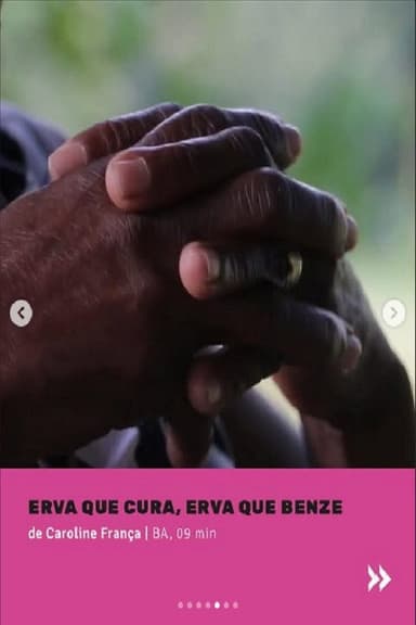 Erva que cura, erva que benze