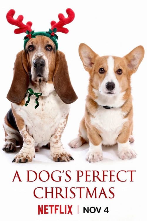 A Dog's Perfect Christmas