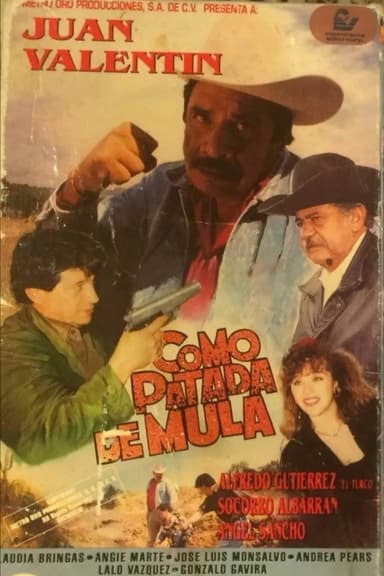 Como patada de mula