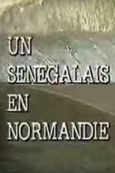 A Senegalese Man in Normandy