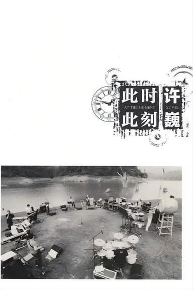 许巍：此时此刻 纪录片